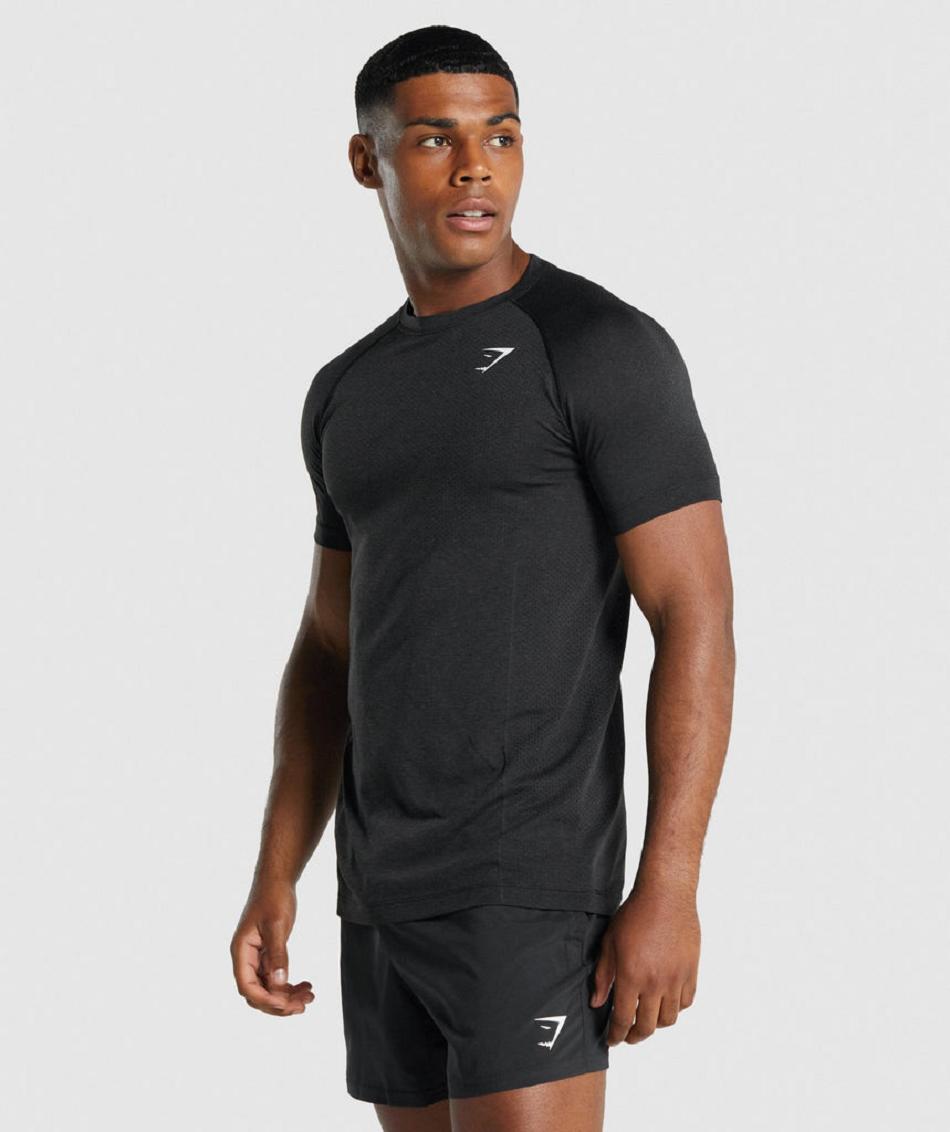 Gymshark Vital Light Seamless Muške T Shirts Crne | HR 2477CTV